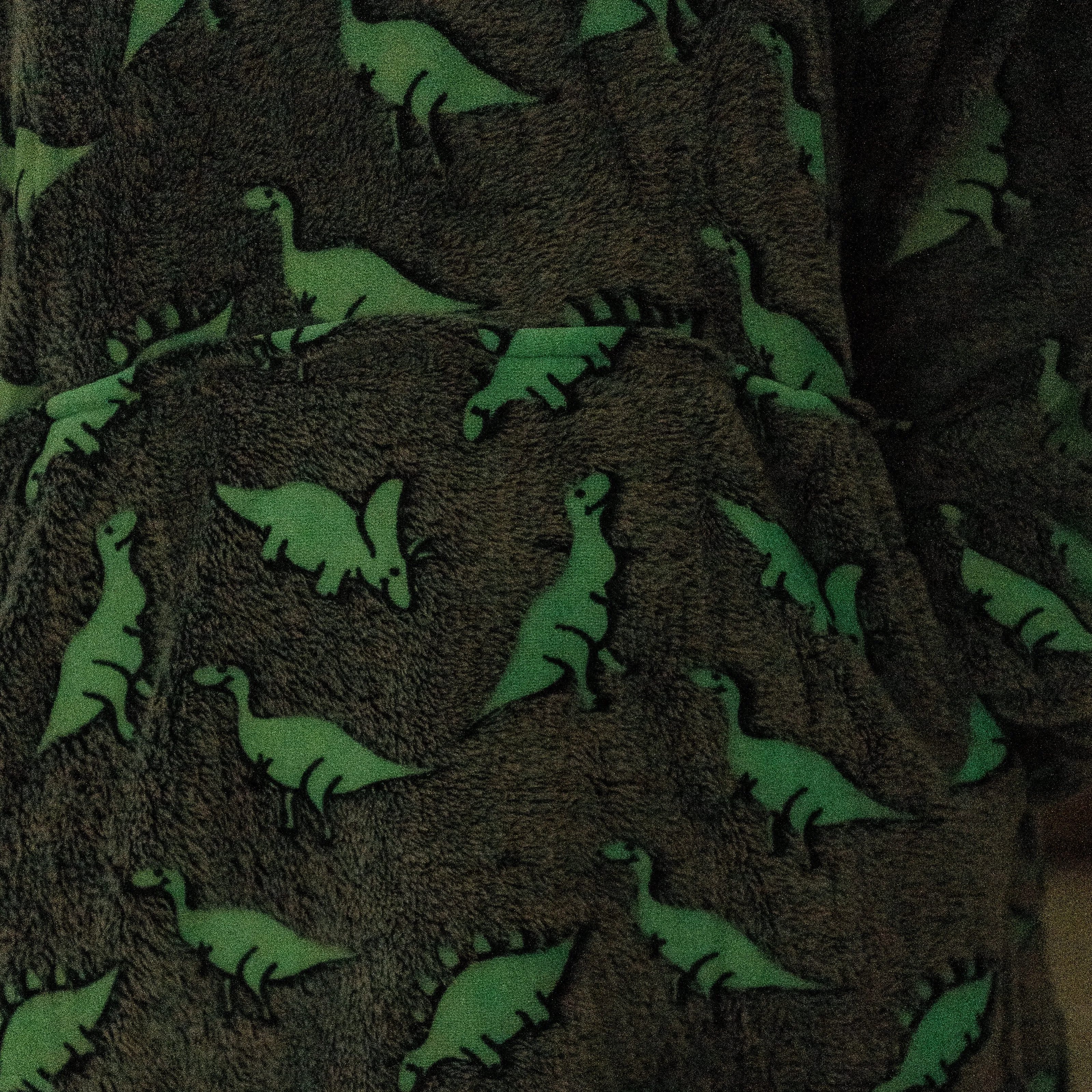 Dino Plushie with Dinosaurs Adults Blanket Hoodie