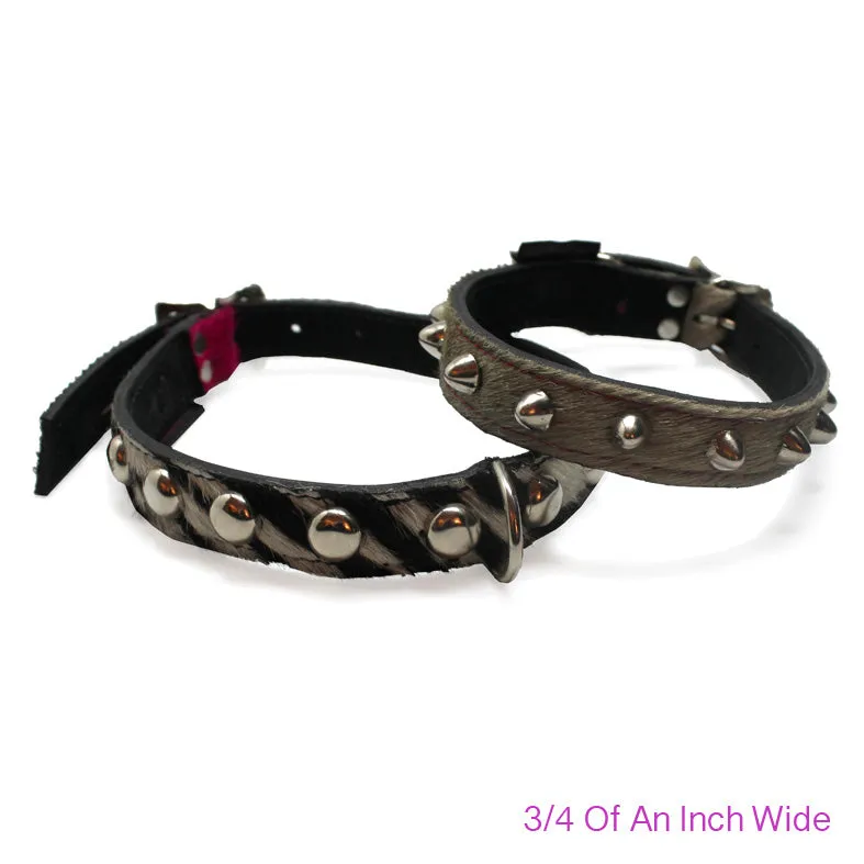 Medium Pet Collar